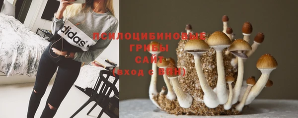 сатива Белоозёрский
