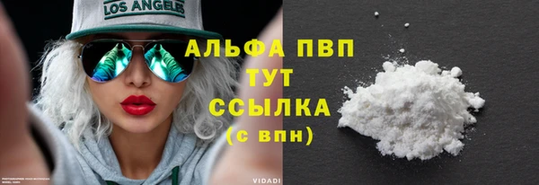 сатива Белоозёрский