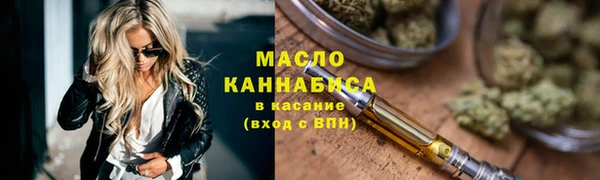 сатива Беломорск