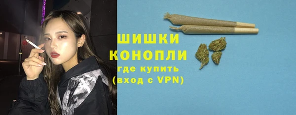 сатива Беломорск