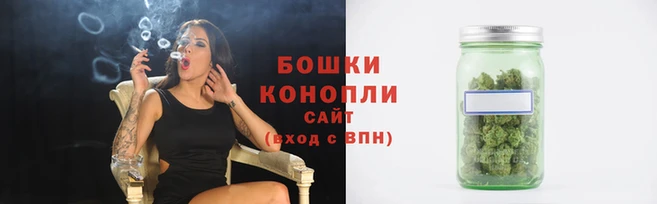 сатива Беломорск