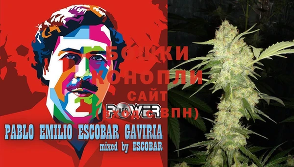 сатива Беломорск