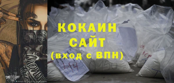 сатива Беломорск