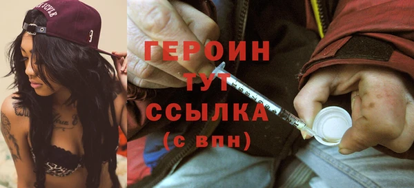 сатива Беломорск