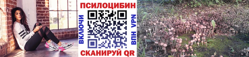 Псилоцибиновые грибы прущие грибы  omg ONION  нарко площадка состав  Острогожск 