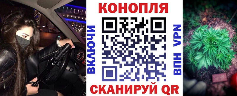 Бошки марихуана индика  купить   Острогожск 